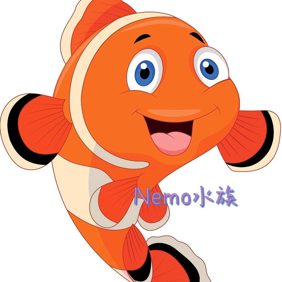 Nemo鱼坊