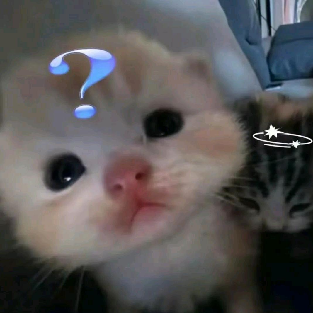 祉潼