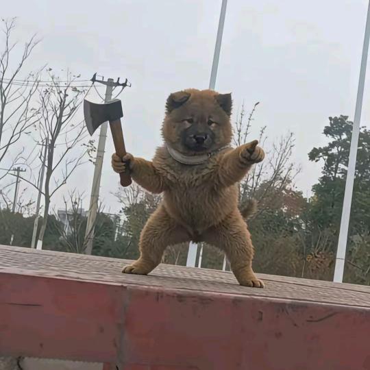 爱要怎么说出口