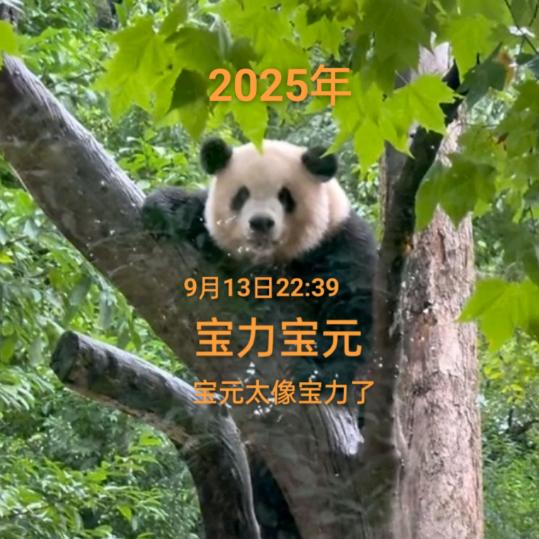 《单身自由自在宋姐》