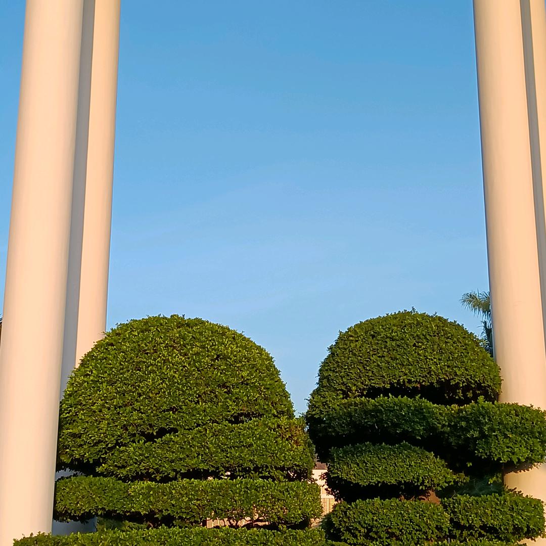 我心飞翔，春心荡漾