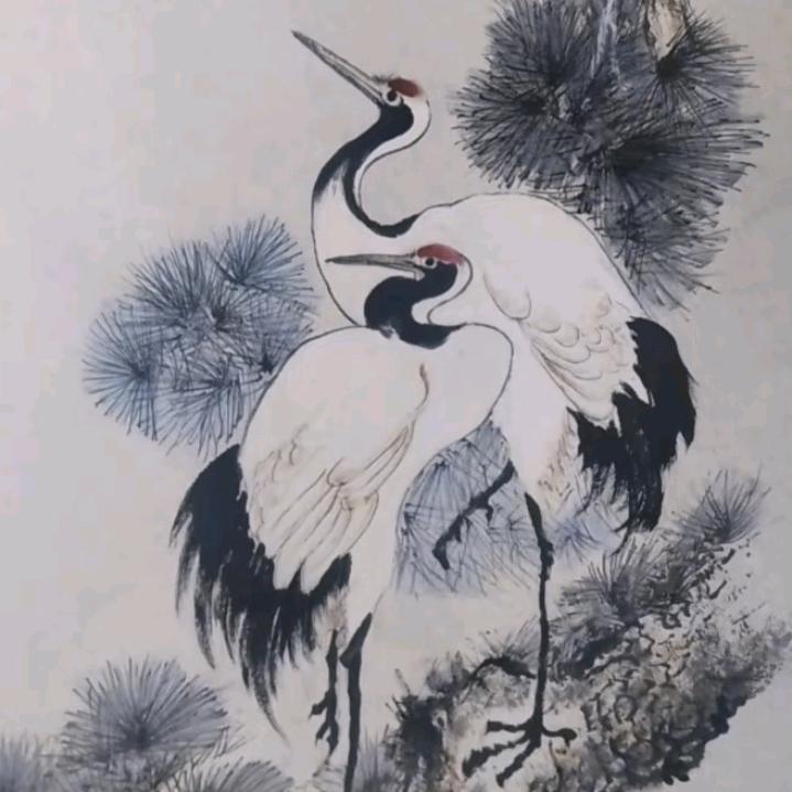 🎧苗岭飞鹤🖊💫