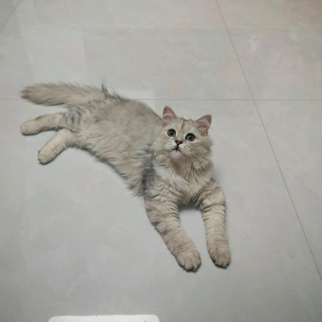 偶尔会发呆