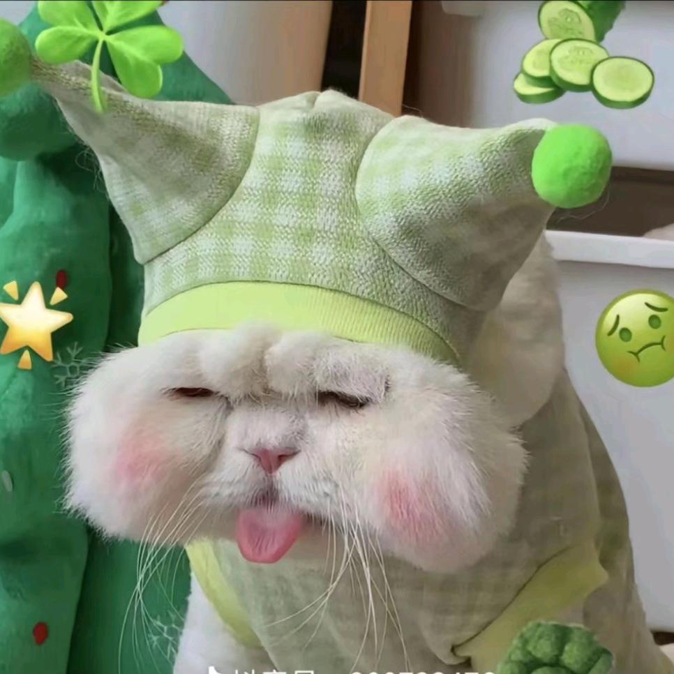 绵绵冰小羊~~