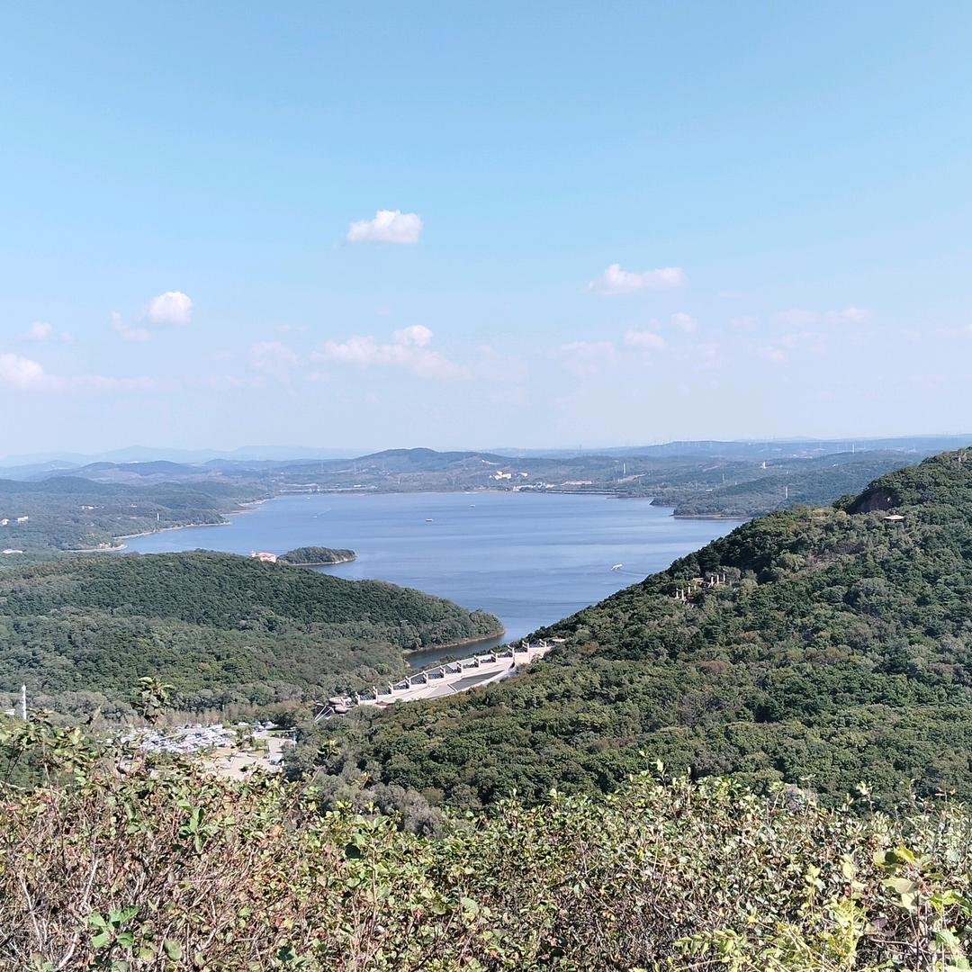 金晨……王幺妹