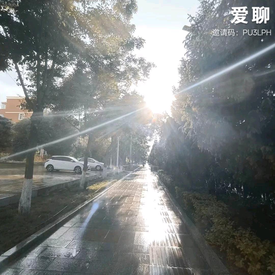 卢某人😱