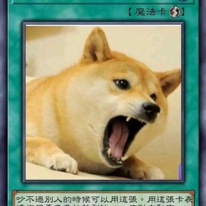 捌号(封)