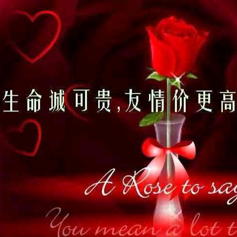龙的传人