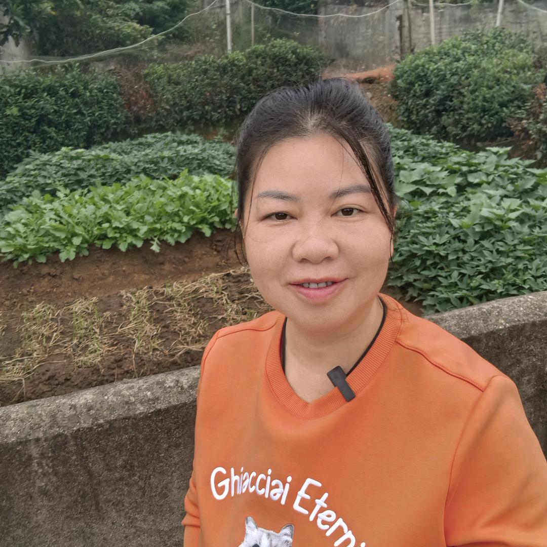 洁捷杰短视频创业