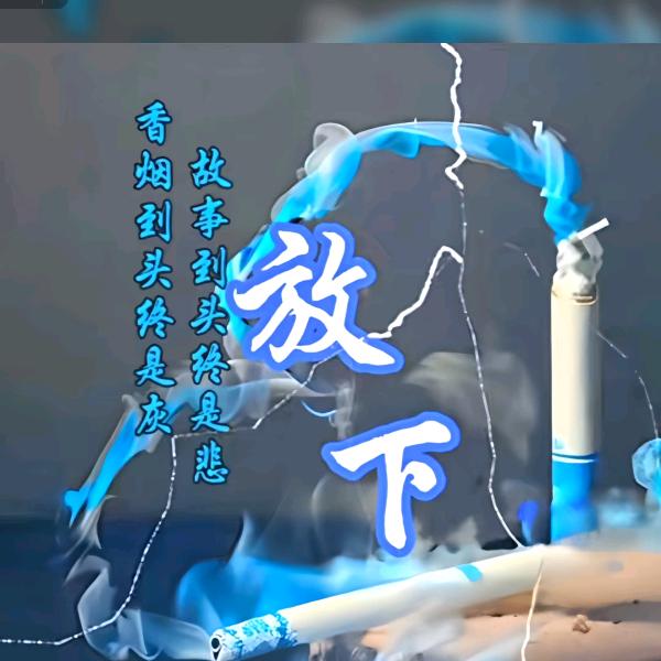 🐱老猫