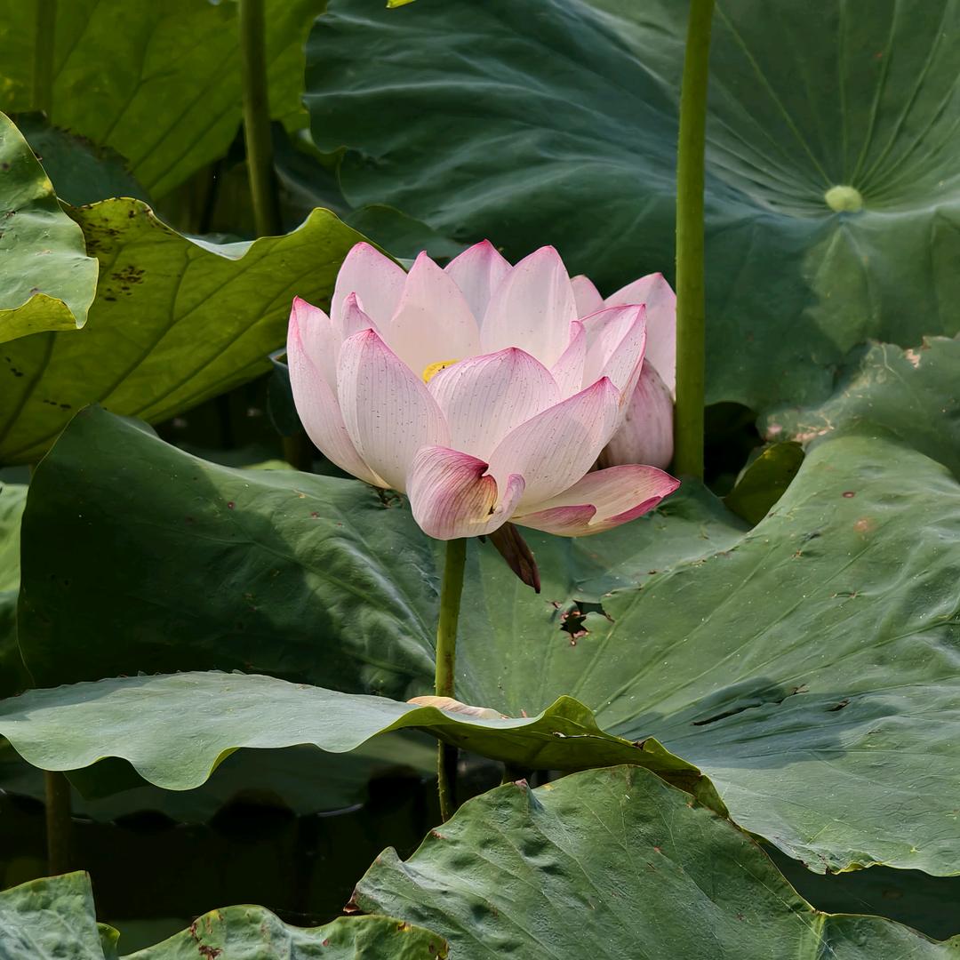 苦尽甘来