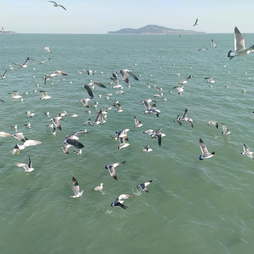 向僵尸开炮–无感（士龙）