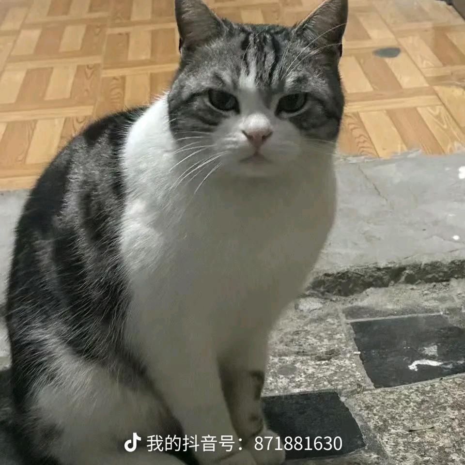 一帆风顺，我是高县人。