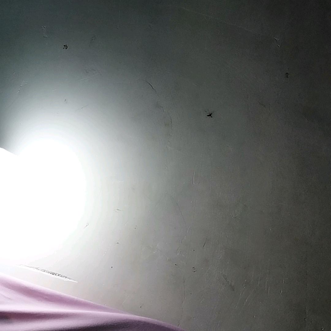 温柔的我