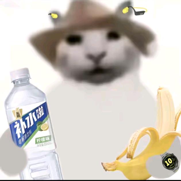 因为太高冷导致全河北降温的那个夜晚