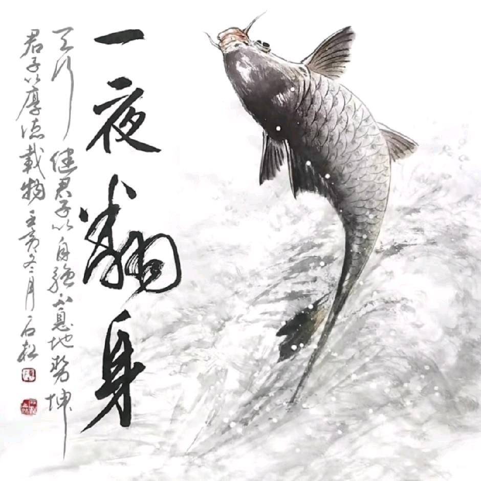 鱼小鱼