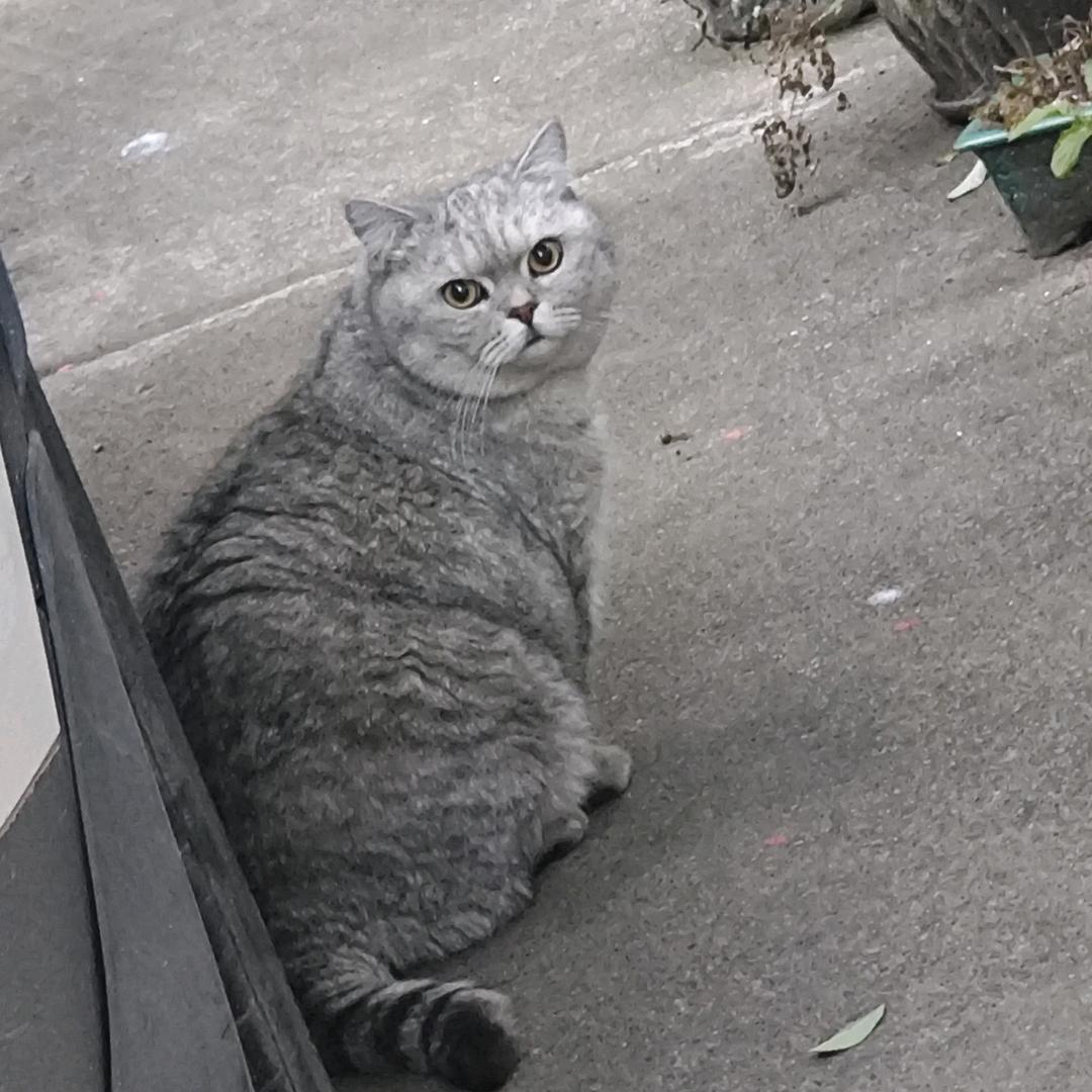 莫名的笑点