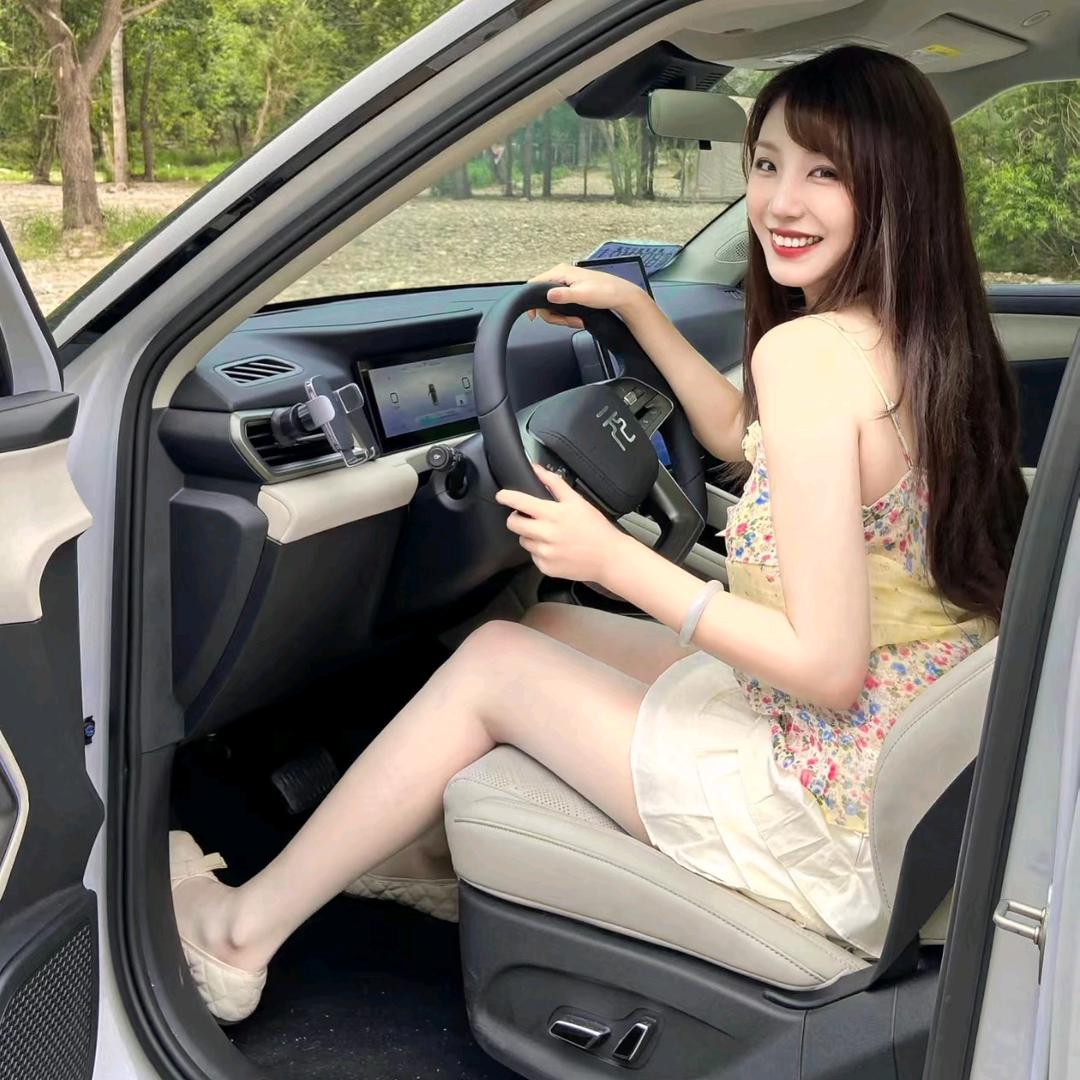 BYD王朝