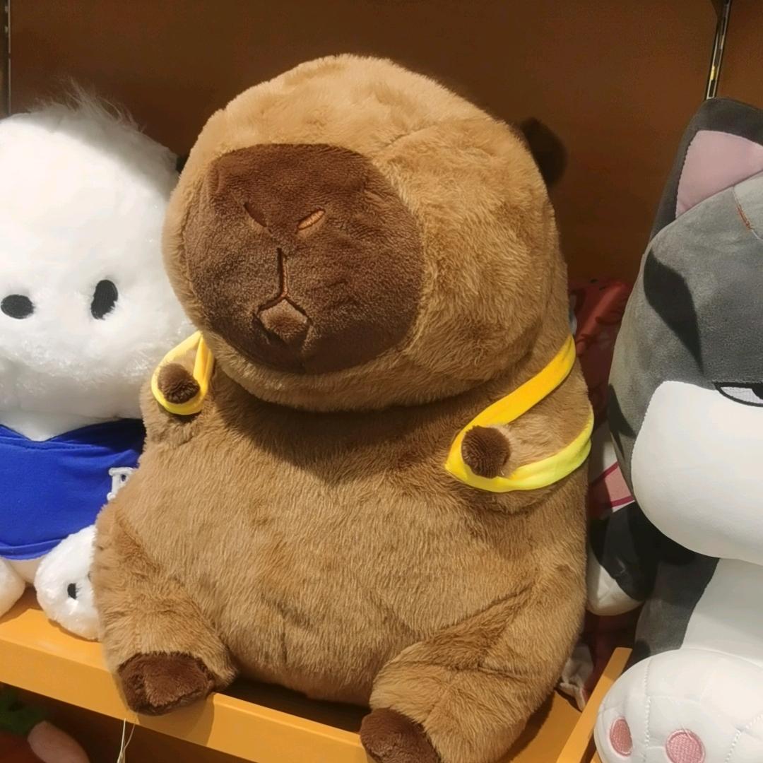 韦小宝