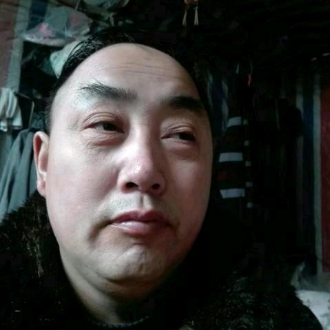 鸽伴人生❤❤