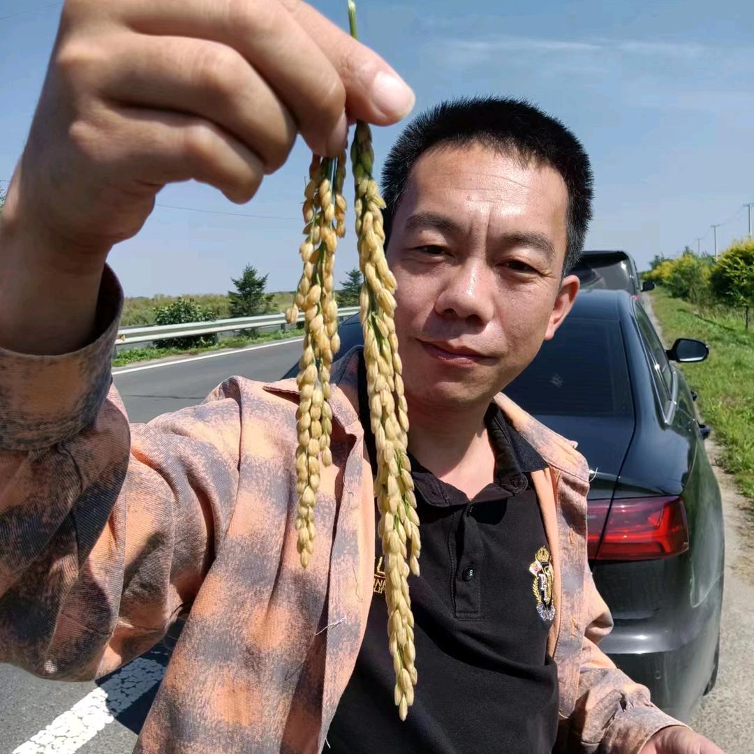 木子李果蔬