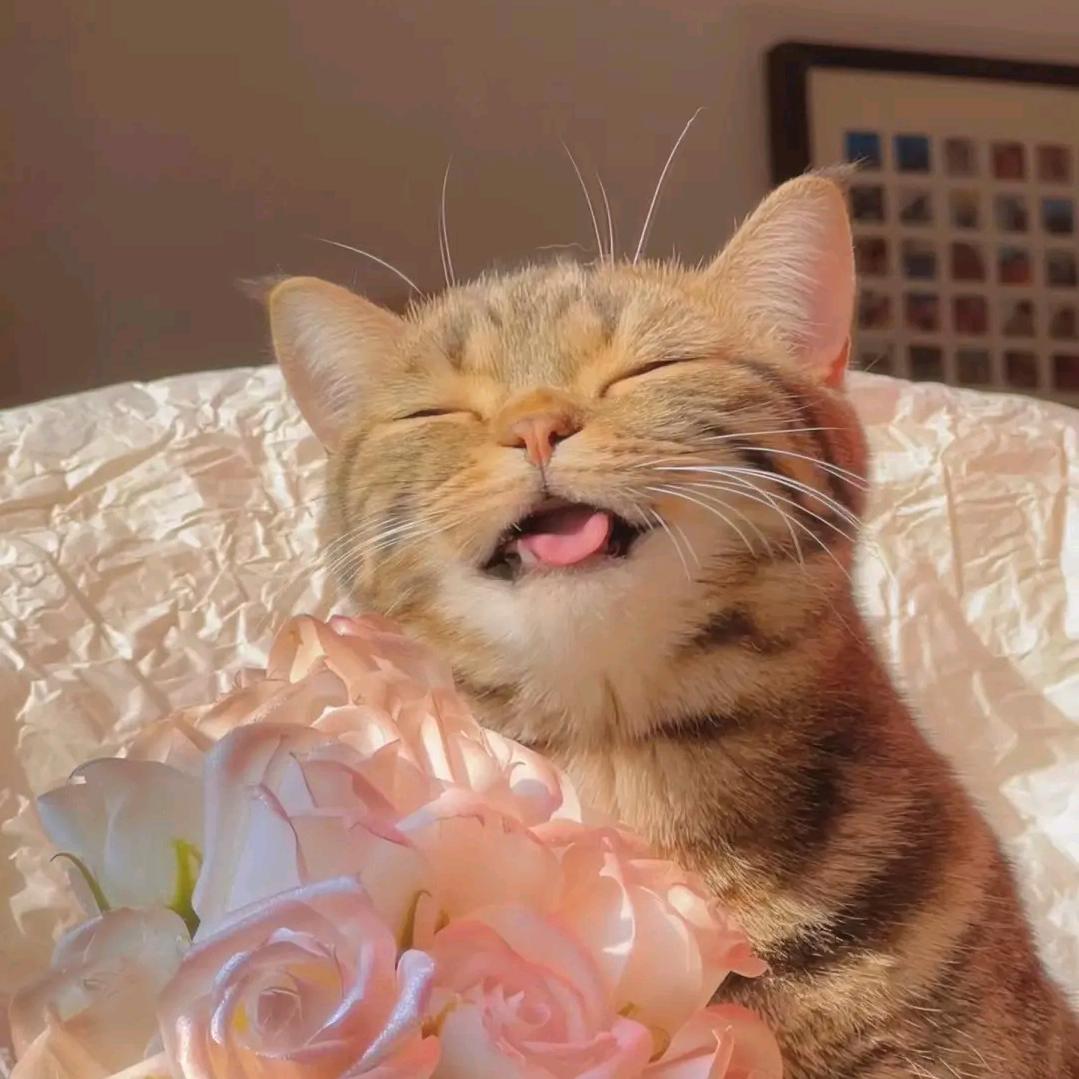 牧