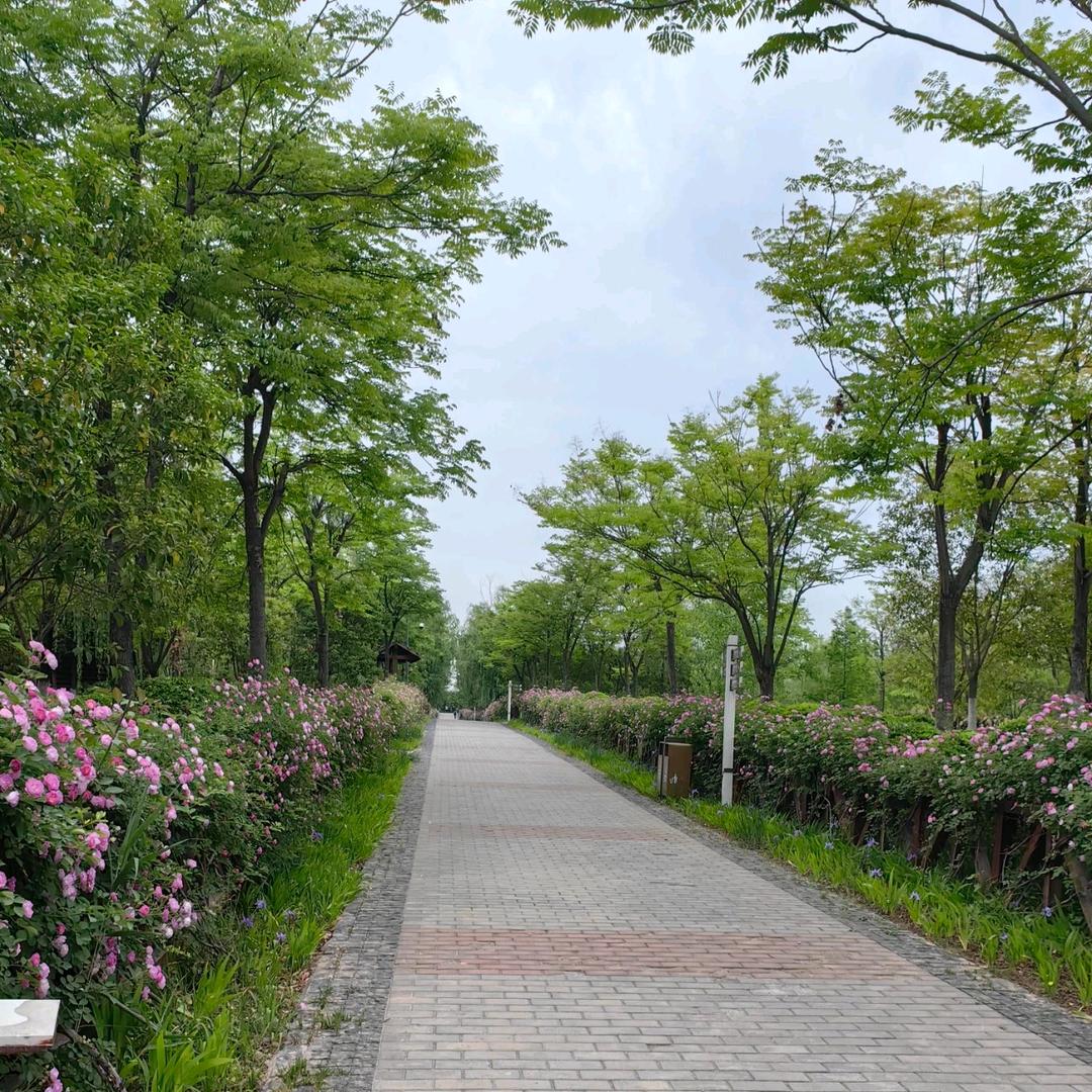 明天的太阳更红