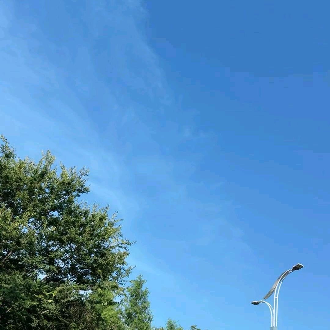 最骚的靓仔