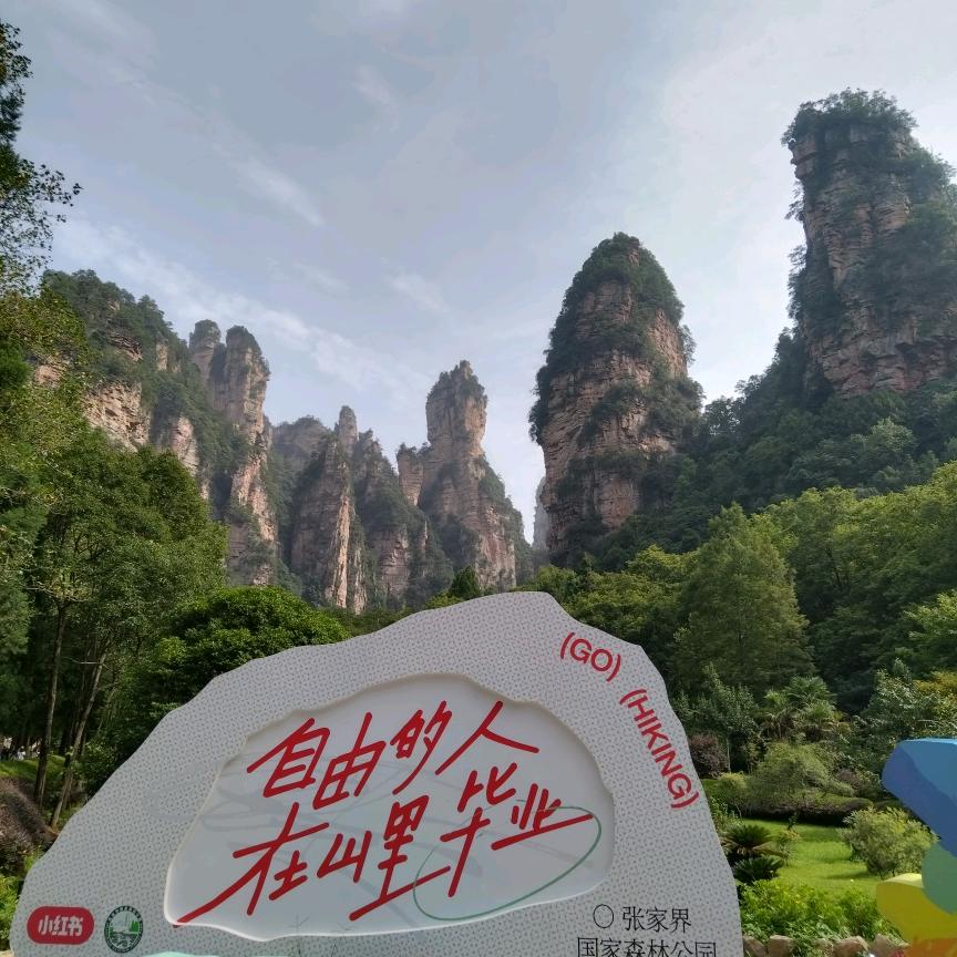 旋律视界～四季风