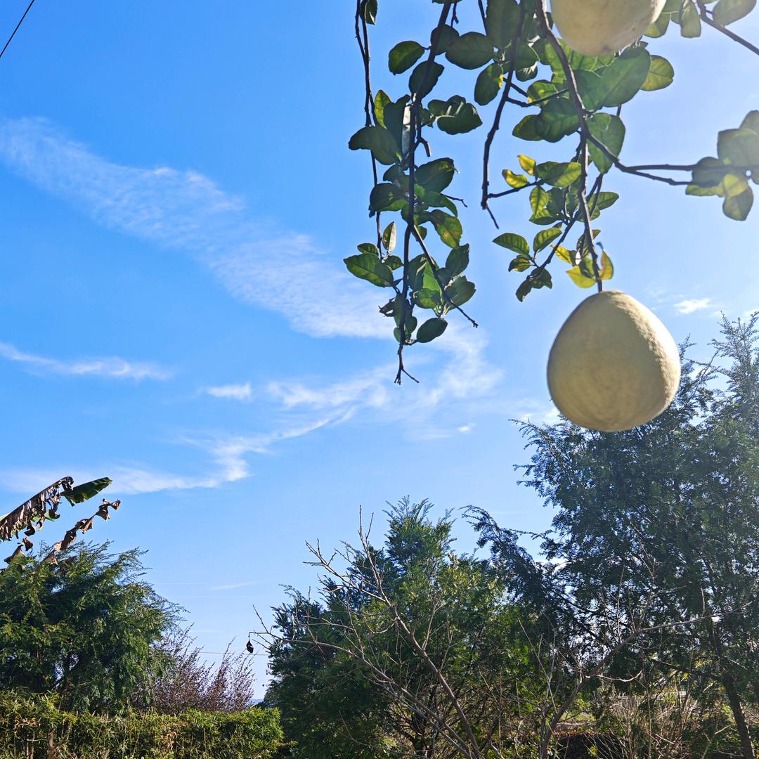 千里之行始于足下
