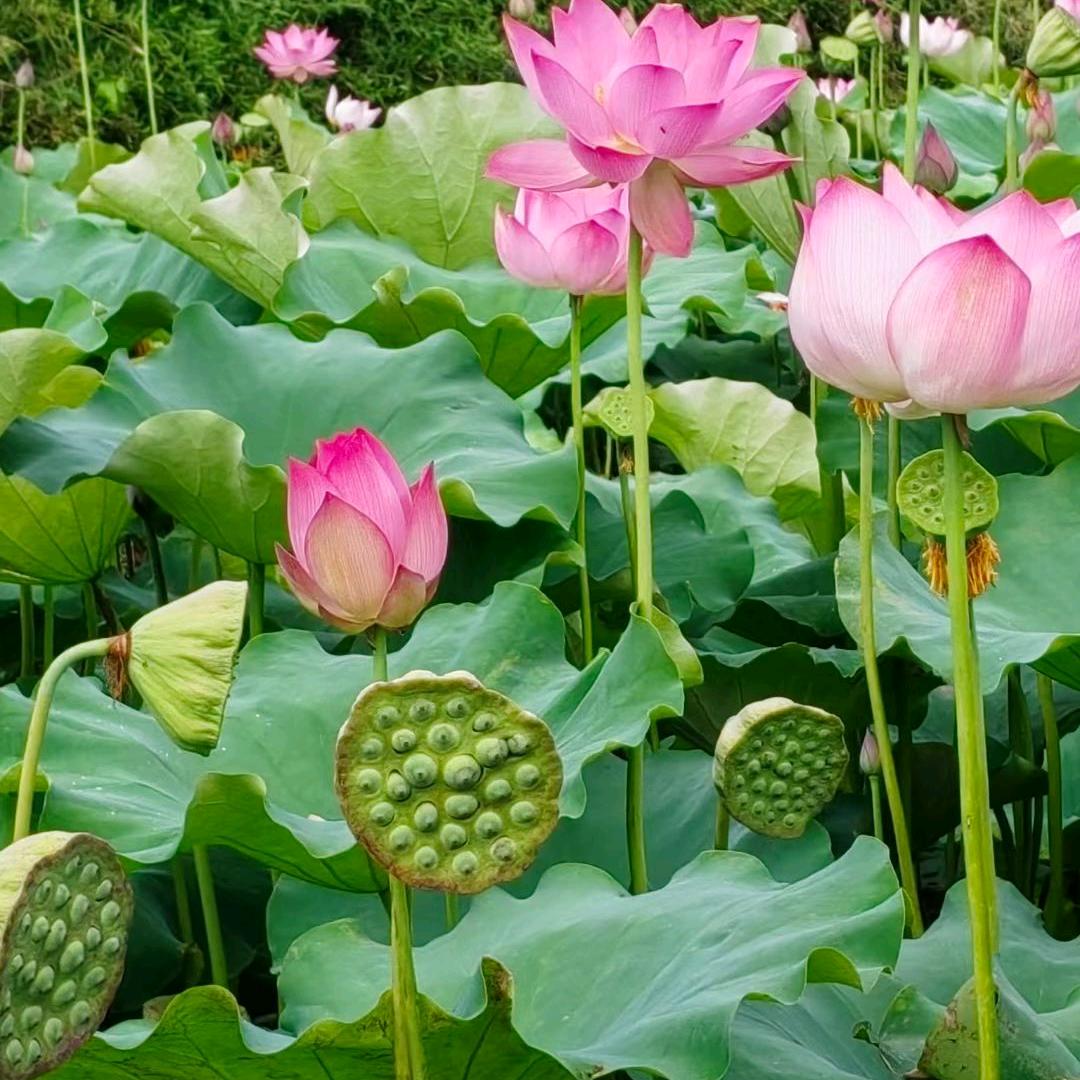 ❥☞多财❤多亿☜