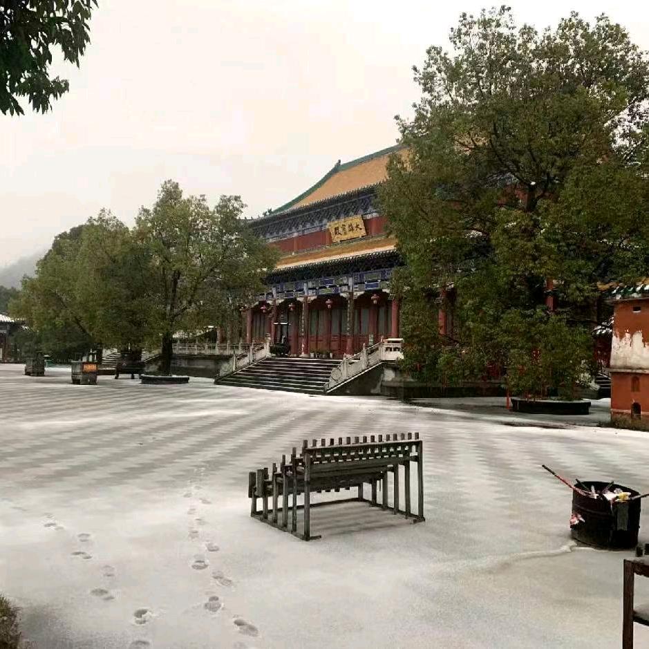 没有名字玖壹柒