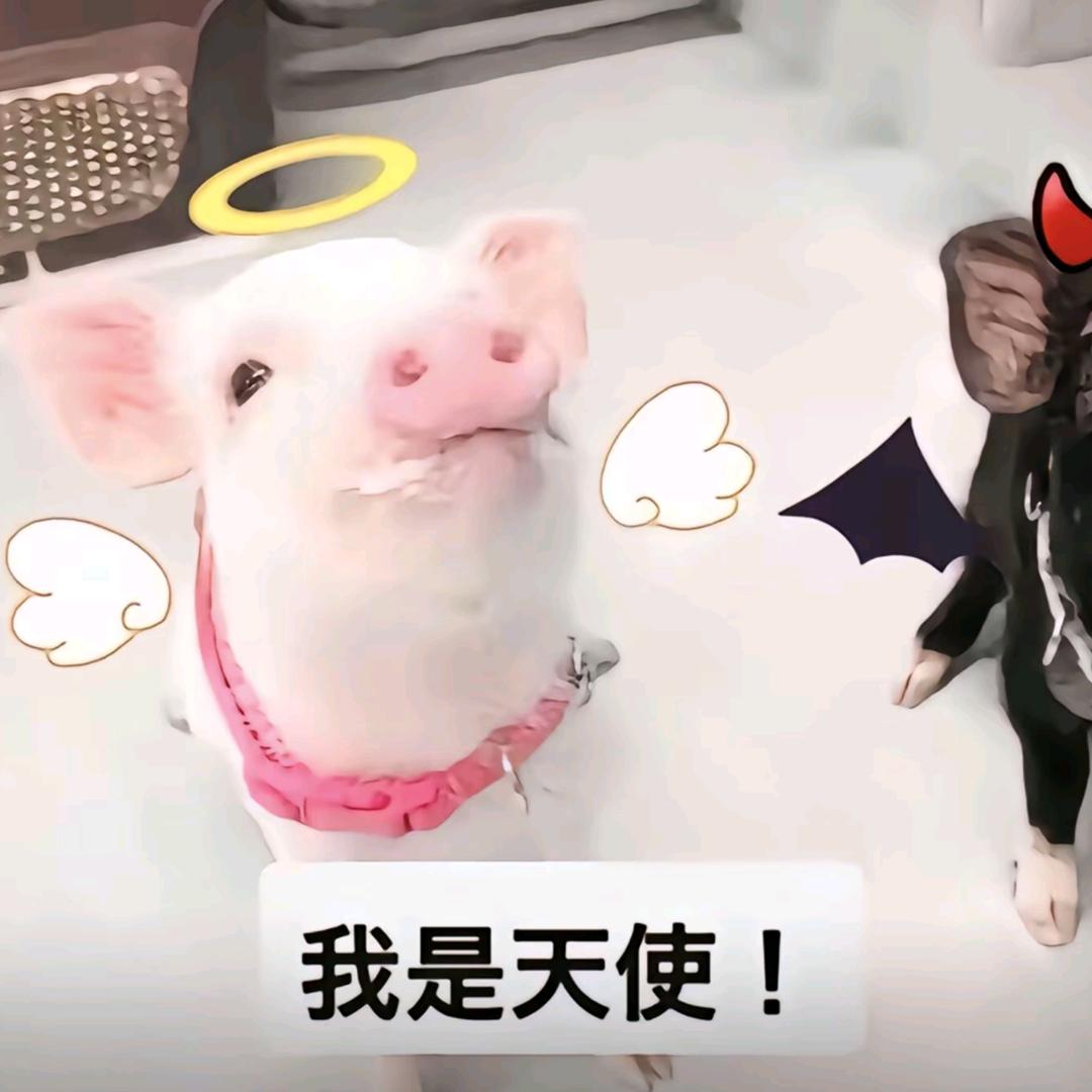 我知道