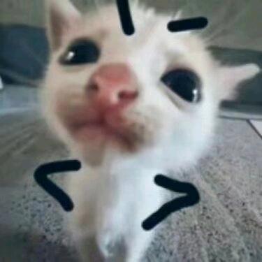 慧