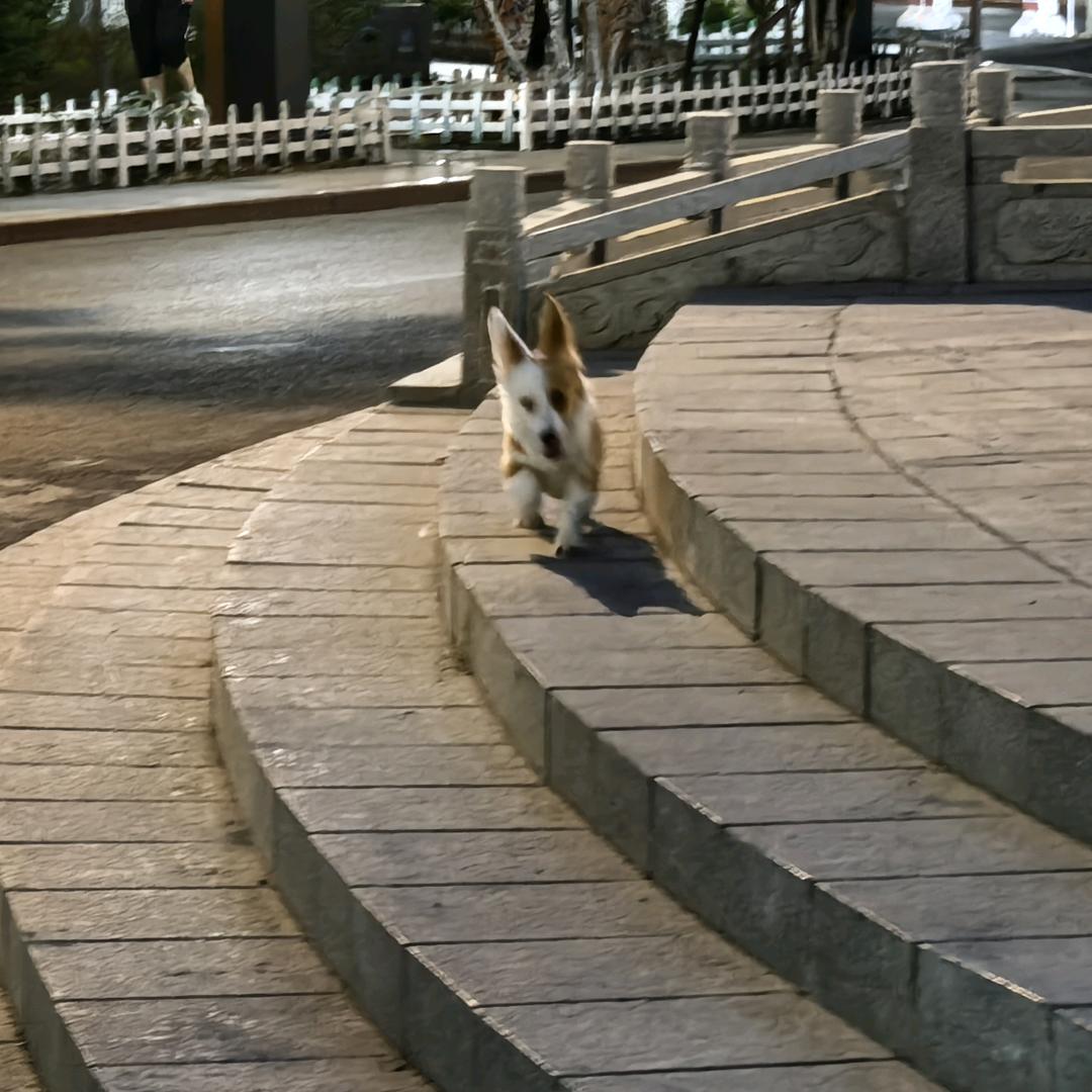 快乐日记