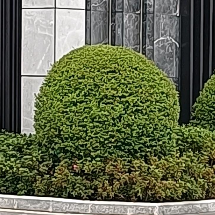 乞103…7796…957俄