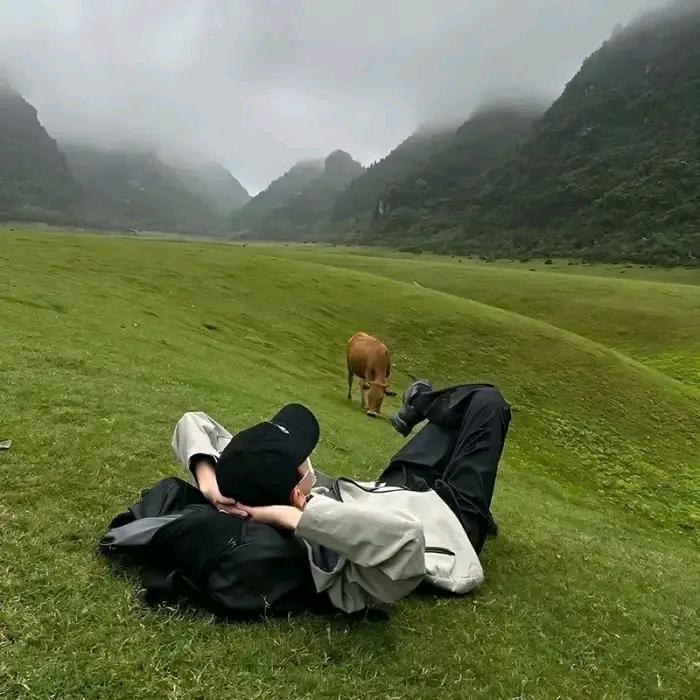 一根楠竹