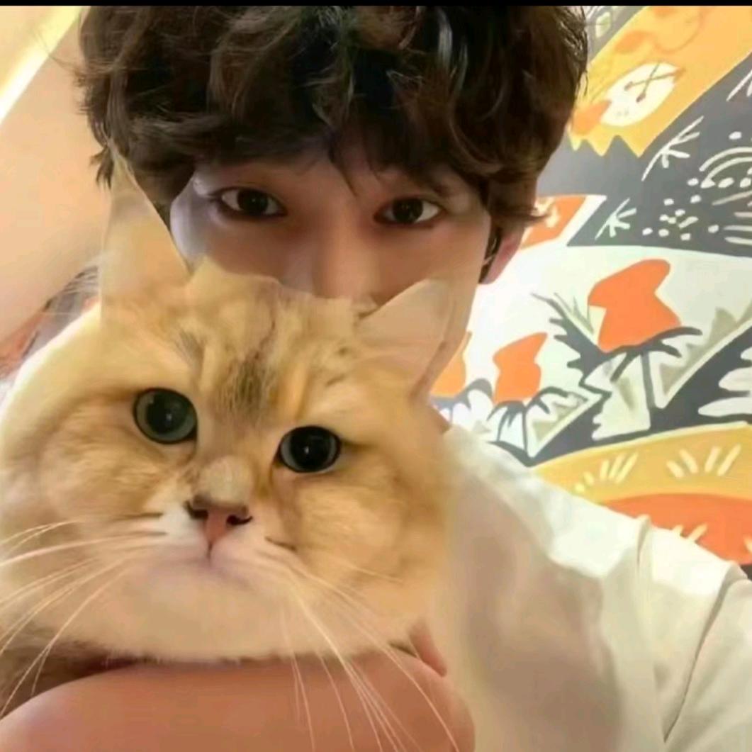 意难平的只有我