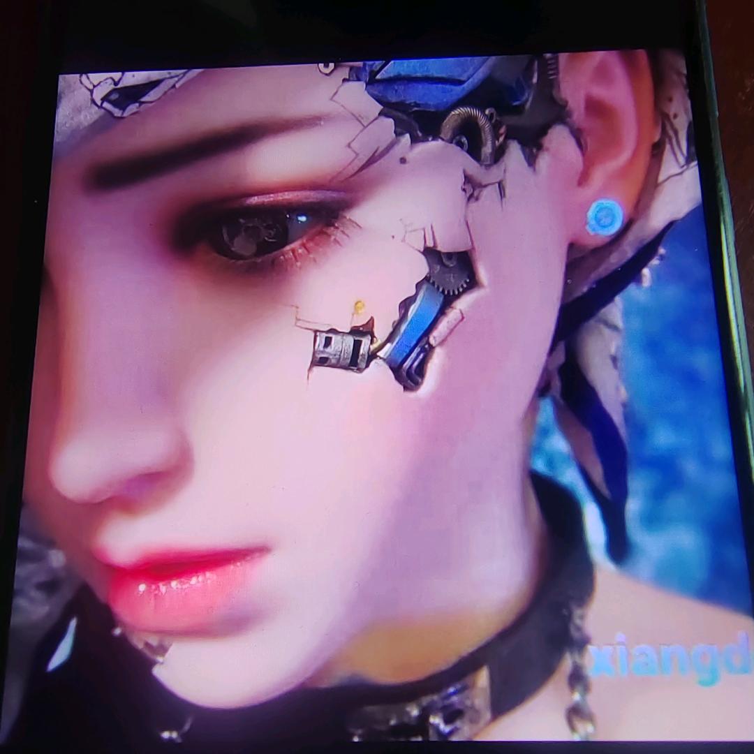 张灯结彩（张公子）