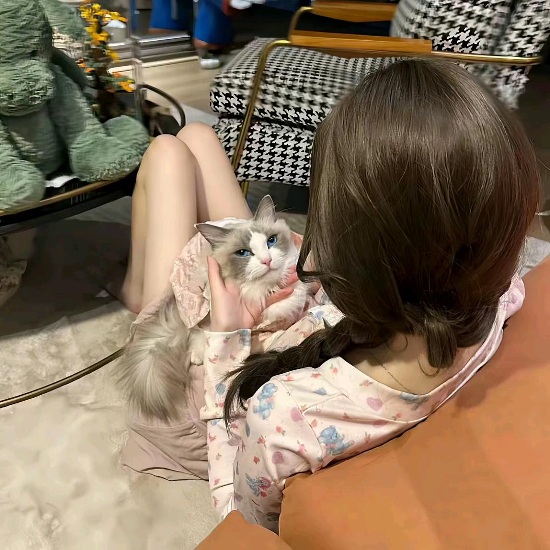 泡菜鱼.