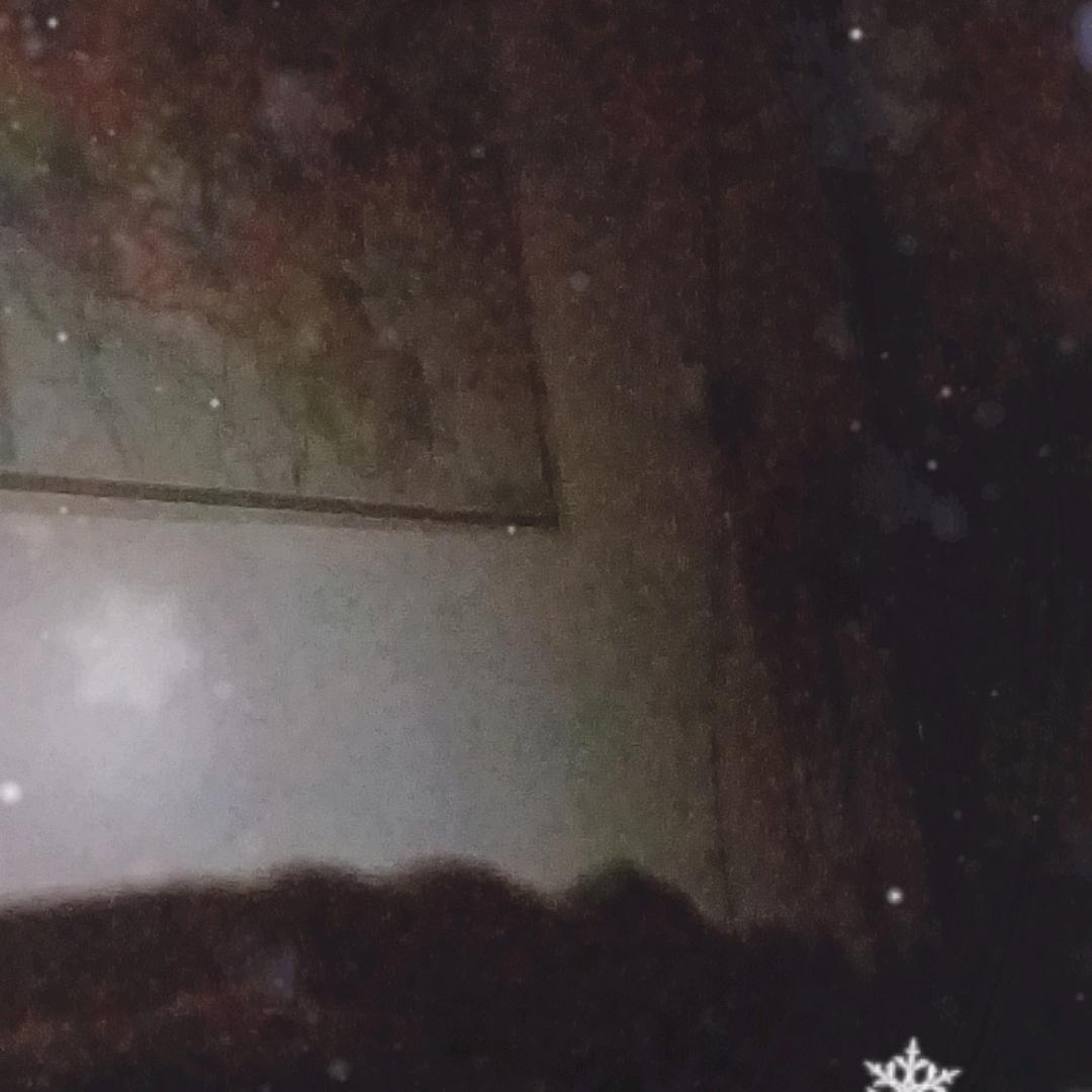 用户不存在