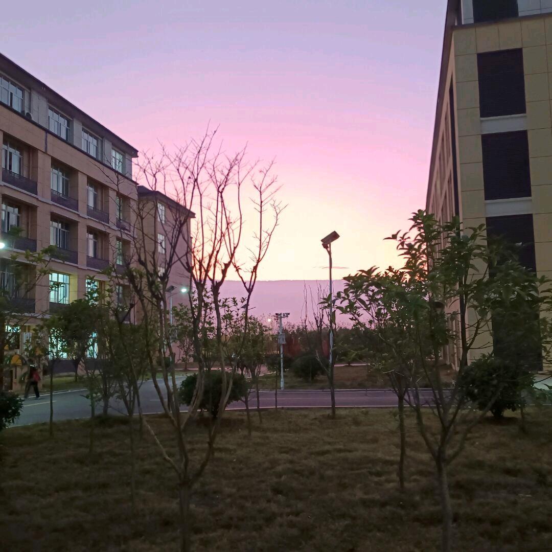 期待每一天