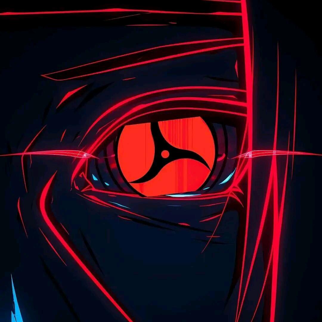 @兜兜有糖