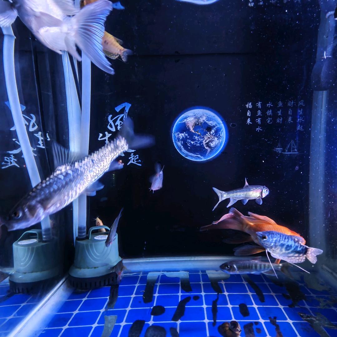 浓缩的大海