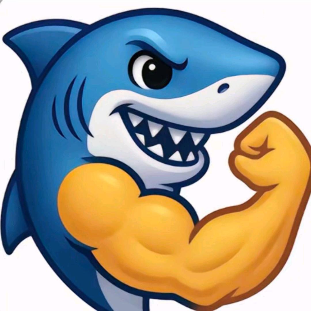 拼好饭被偷 100 次