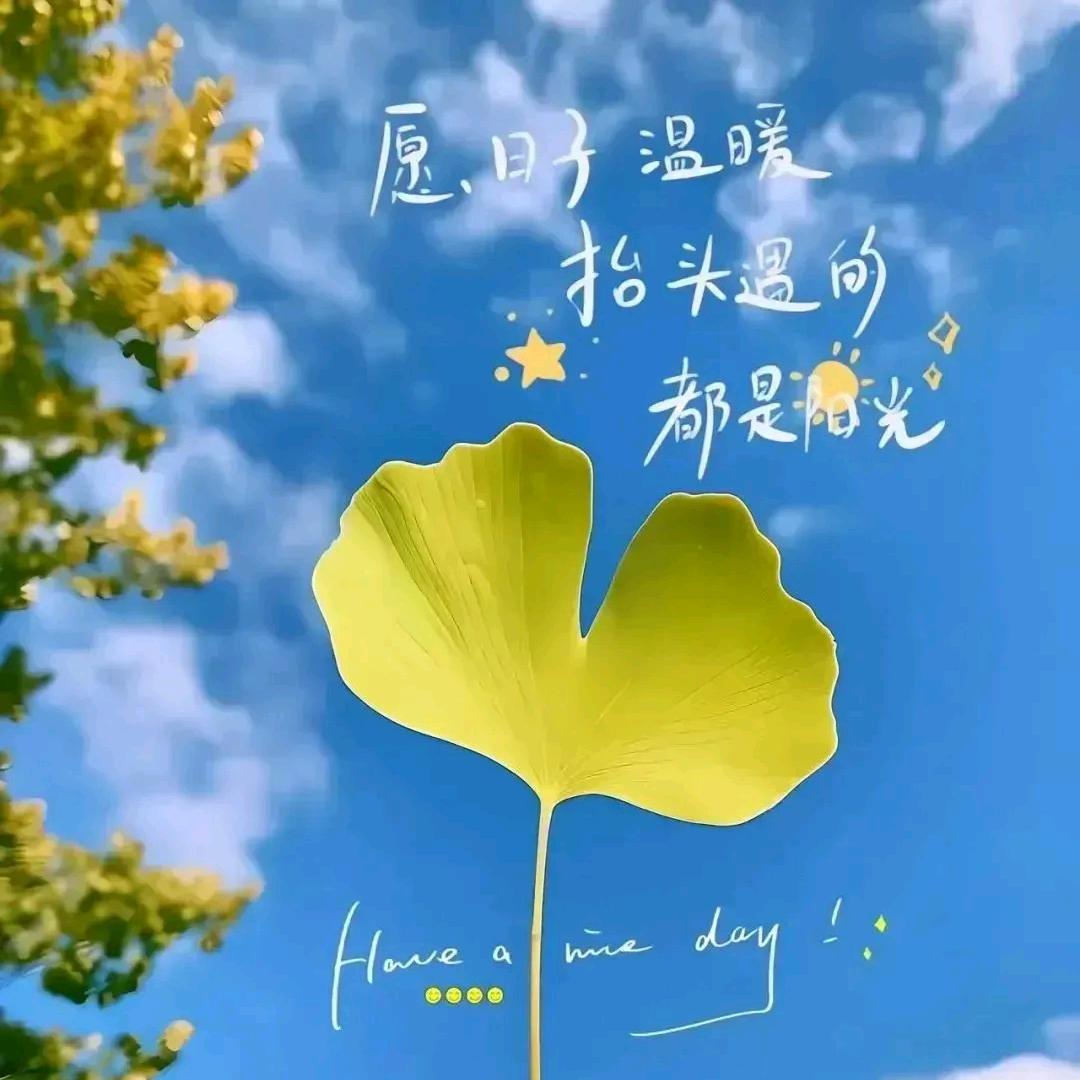 不畏过往，不问将来，活在当下