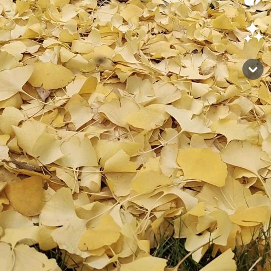做个正能量妈妈(努力中)