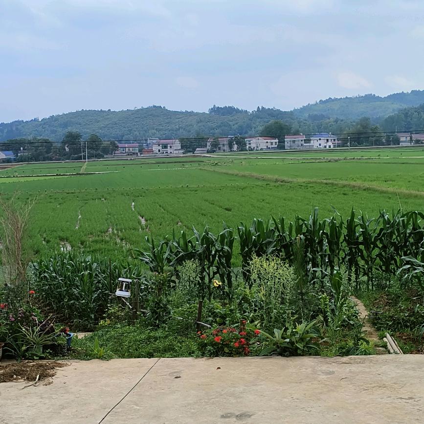 @邻居