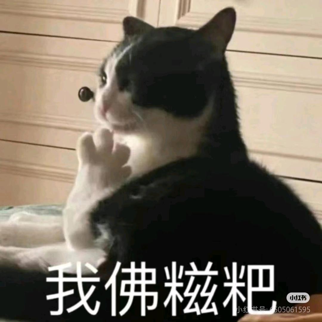 江苏瓴动冀飞-头秃嚣张不戴帽子（接商单版