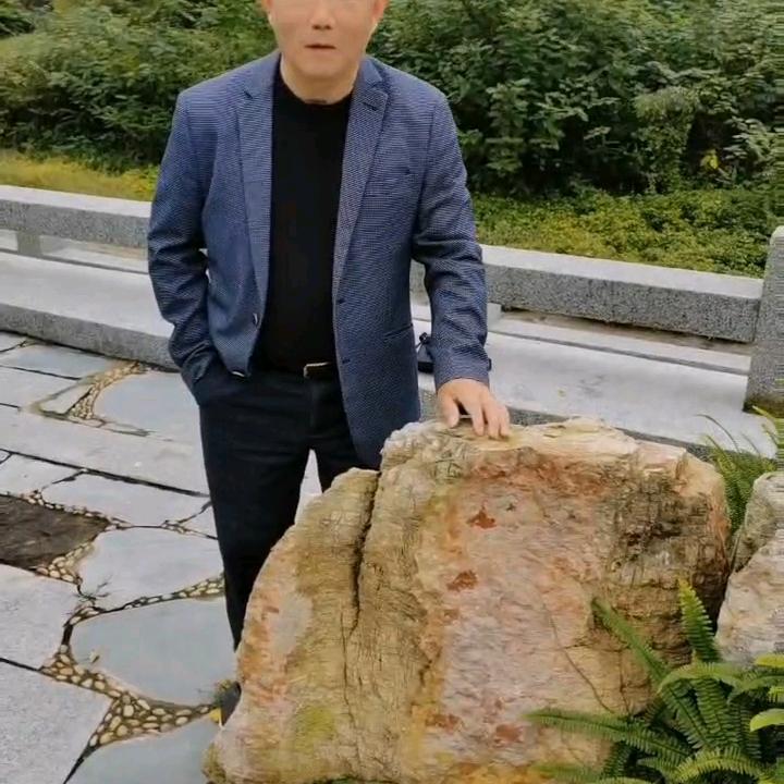 太阳花